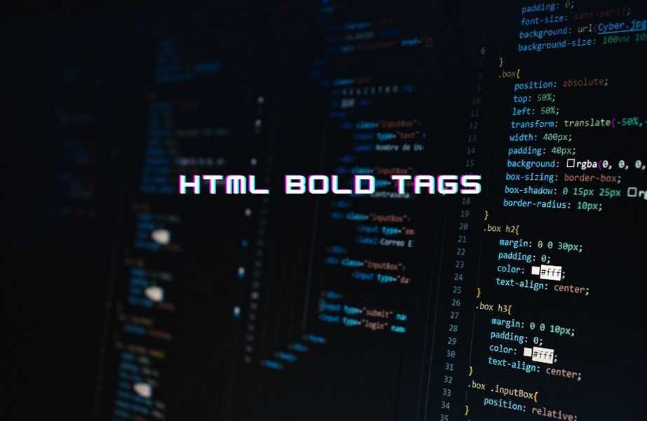 HTML Bold Tags